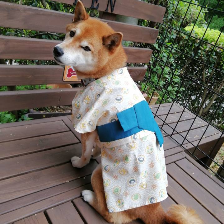 63059122 8179 4056 88d9 711f0a02aa55 1652069178693