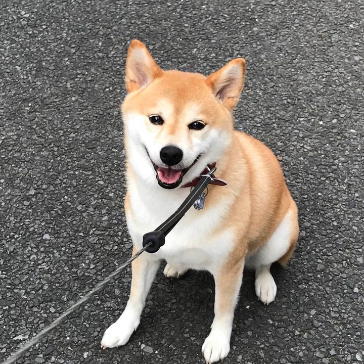 6305e8ea a7f9 4f3f 89ab f97f4dfe1191 1532605253694