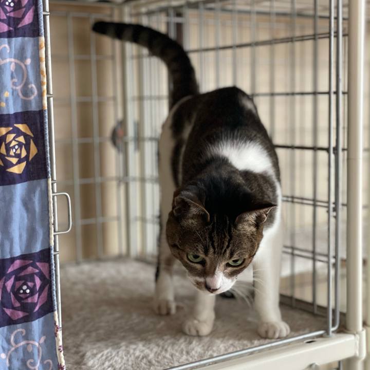 630621aa 8e0d 404f 9931 19bf9c53aca6 1606698830916