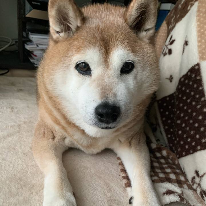 630631c7 3b88 4223 a121 9fcde877e951 1587189932500