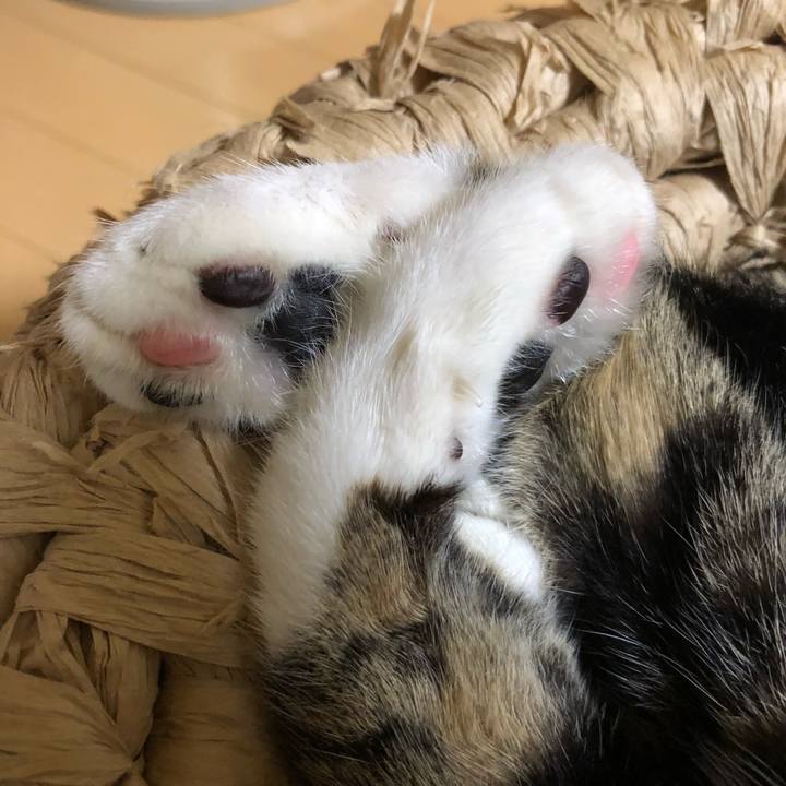 63063c95 c919 4fd9 bc47 e61a5ea002bf 1529597184782