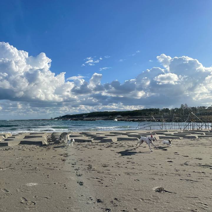 6306468f eb98 4bbd b742 929de15e91ef 1697412432660