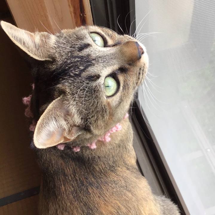 63064bd9 8f14 4a03 9af2 91cd52911ccc 1589955555354