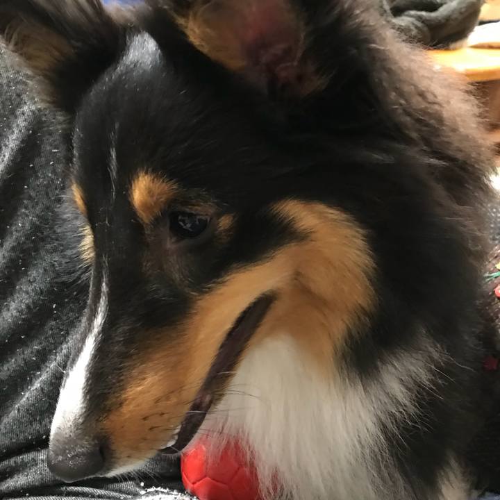 630671ef 0dda 47c9 99de ac3a4625c05a 1529544396208