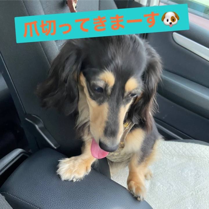 6306ab26 5b3d 4d20 ba68 573d1ef2241b 1717145891209