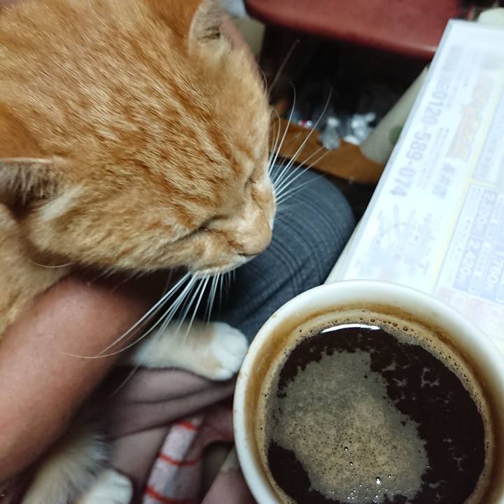 6306b4e3 ceba 48ba af9f 9e69b9178788 1596657772733