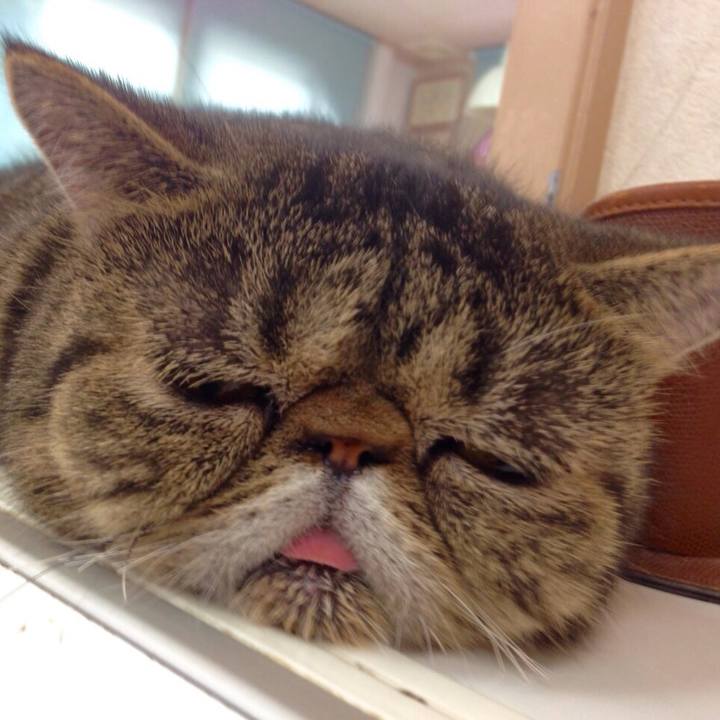 6306b8b5 6ce0 4509 ab38 e000417df5d7 1645490205169