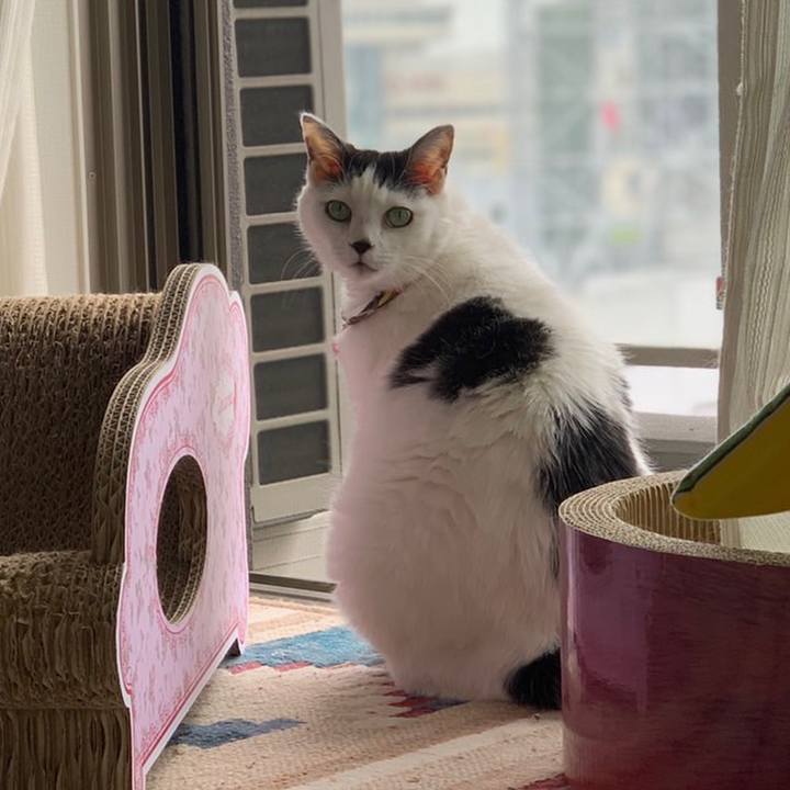 6306ced0 9762 4e29 a424 db94e85dddaa 1652619797511