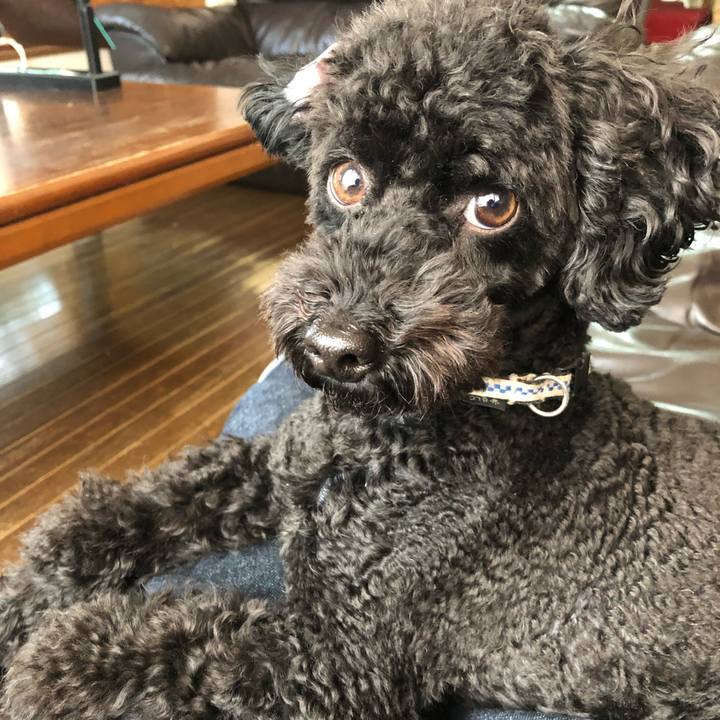 6306d7e9 2c5d 47ed bbe5 a7e6142e0106 1543531069402