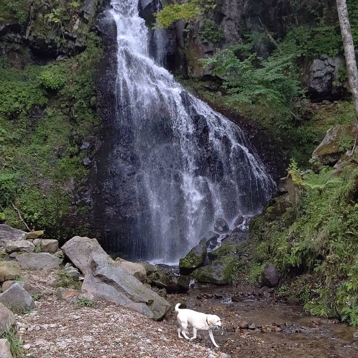 6306ecce 6598 4744 b228 334901a04875 1664787971194