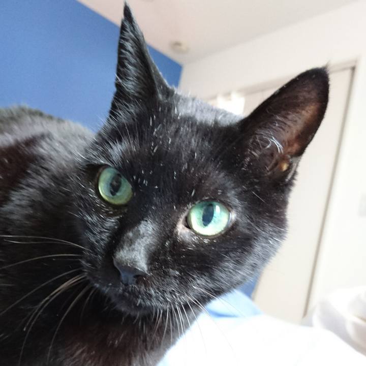 6306f049 3ae7 439d a6b3 a8b178695566 1539400132409