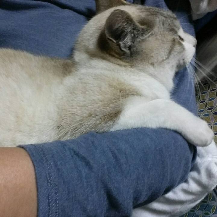 63075112 01b1 4a17 a5c7 b4c8414e6417 1515770107805