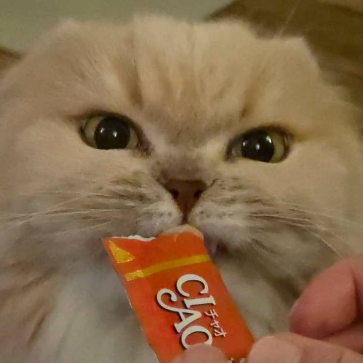 63077ba9 9b19 4a88 ba9a 555a3cdfb0ce 1769851957708