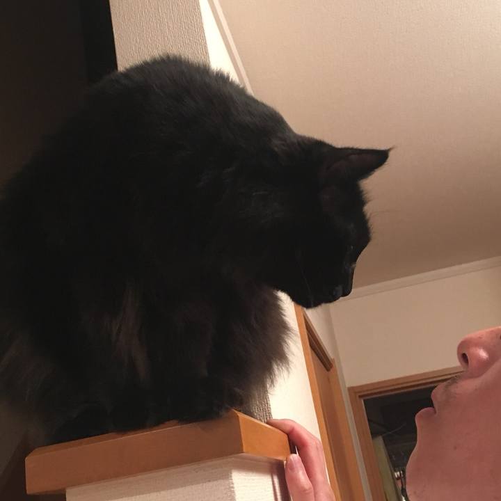 630799cb b292 4ac3 8f49 b521212869a7 1528484529320