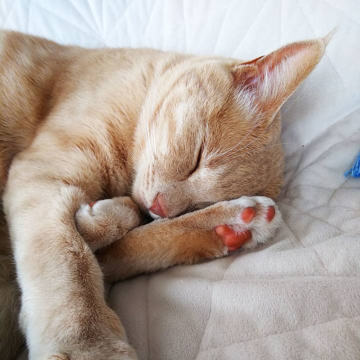 63079dca ad72 477a 83e3 c8e5c753da22 1597960108938