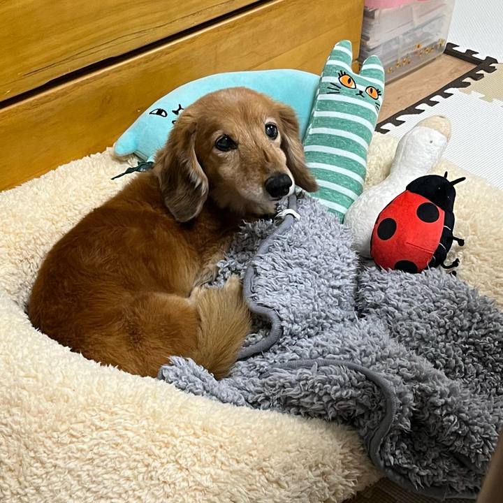 6307bf48 7d2f 4579 9380 3a1c1e7785b0 1640786665012