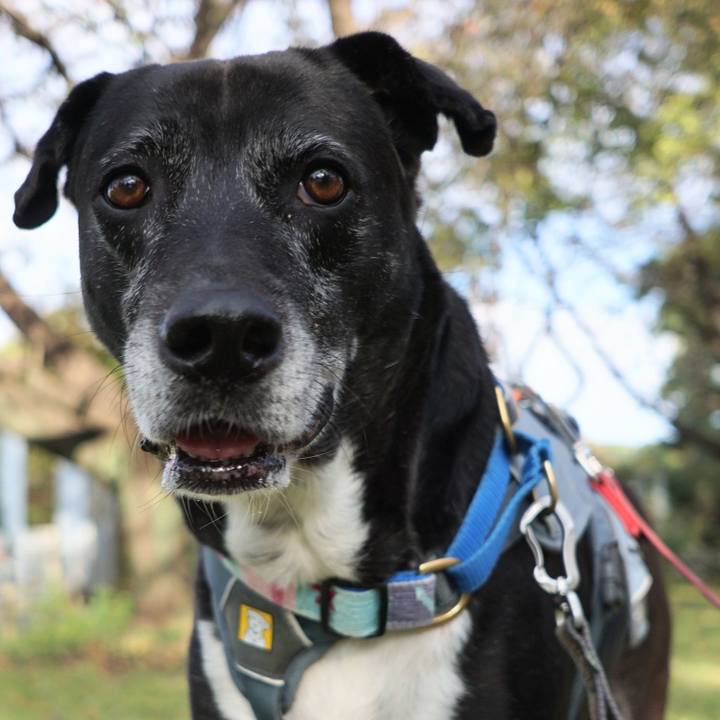 6307ebb9 abdd 4499 a54d ac5e0860fbcf 1761786541639