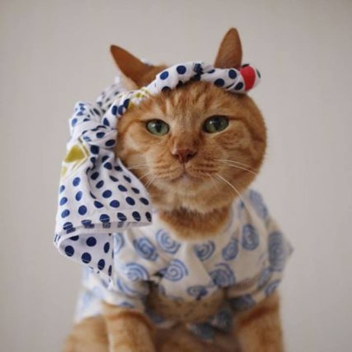 6307f662 2ba2 4e64 9d01 4d8661b674a8 1693363272781