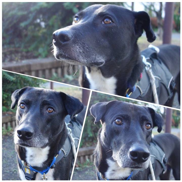 63083c4e b57b 47df 98f0 f1ae9e27b5d7 1637888913309