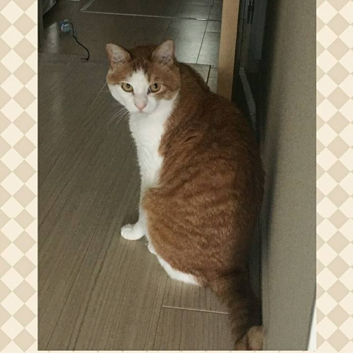 63085d88 94e0 4512 bd44 59f04d57b543 1558553206788