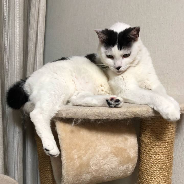 63088deb 3daa 4451 a145 0e54a02d3a8b 1560352206234