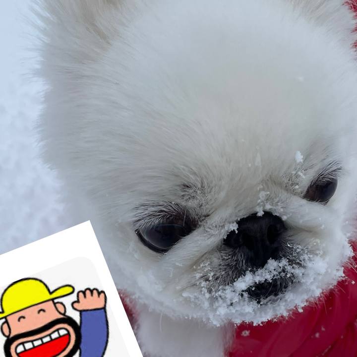 6308a795 1690 4705 879c 8a0e13123ddf 1737853331577