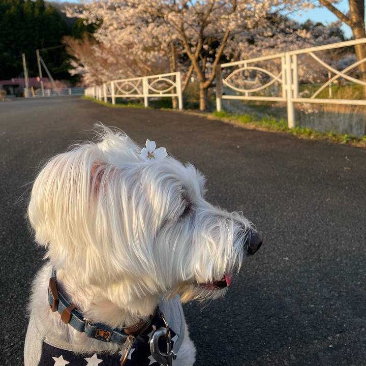 6308c3b5 f9ae 4b92 b506 eec0e0860872 1667694907669