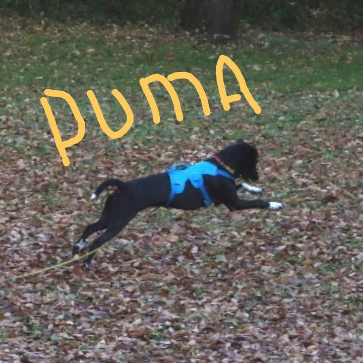 6308cde4 4f5a 42ae be27 23ebf6b2ed80 1606091261530