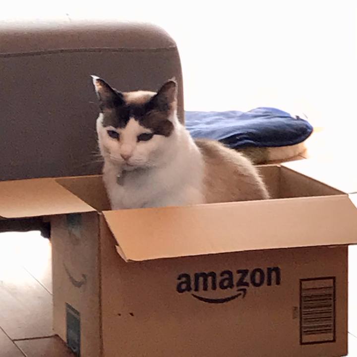 63092d07 dc17 4015 8f62 adad17766d84 1617155985570