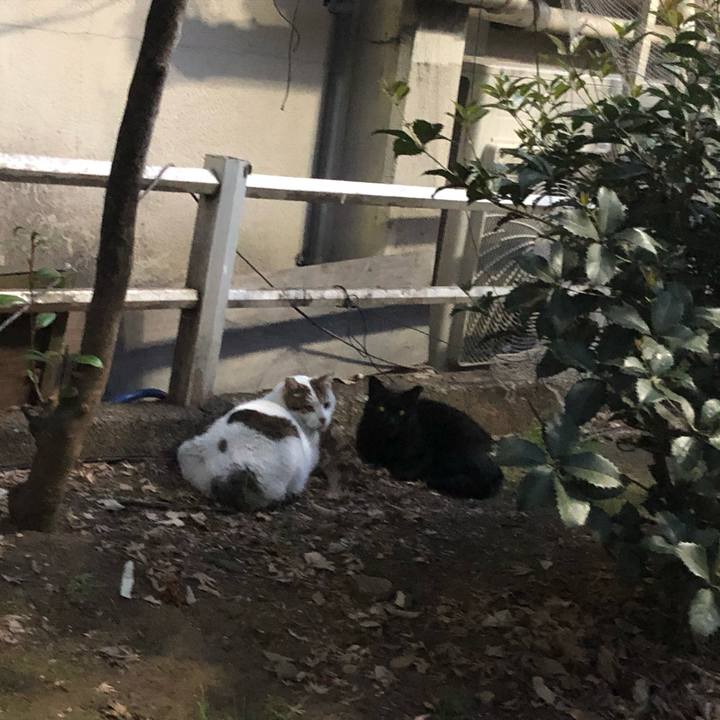 63098bf5 2f82 45d0 8535 1305bf2f5c82 1555676747002