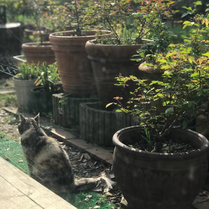 6309af7d dae0 488d 93ec b278fe03dee2 1522542191957