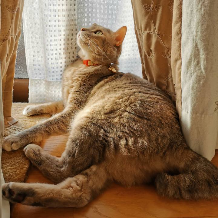 6309e74e 6f1d 4d4a 87c6 e8e7ec07cfc3 1617352190550