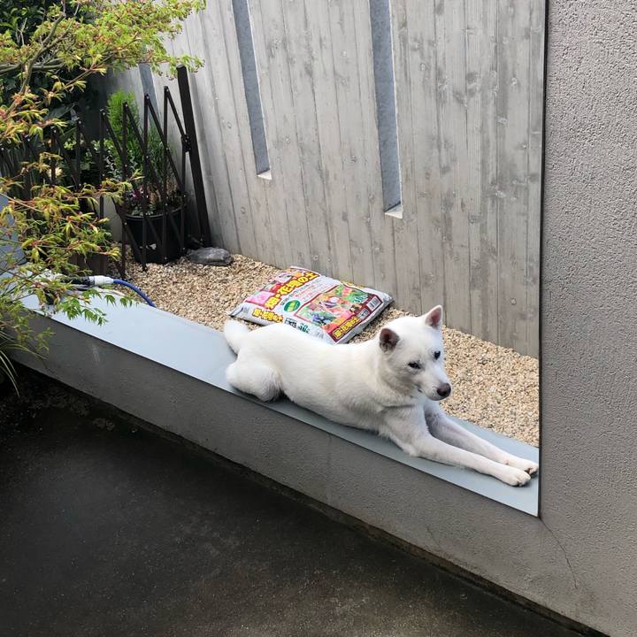 630a1d44 b371 41eb 9460 d027b79e714e 1553135549575