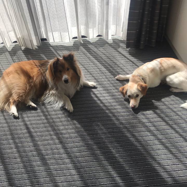 630a3884 440f 42f4 b479 e806291b2ae9 1588508890194