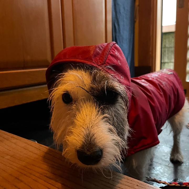 630a4254 d93a 4253 a1f2 9b0bf4ae7c66 1729033378055