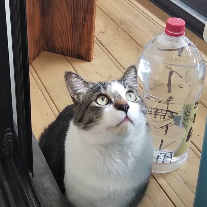 630a44e9 1805 4603 85f5 203ef4899d9b 1602152730690