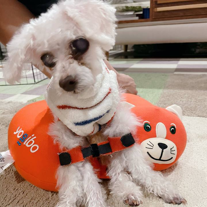 630a6271 3d7c 4ca2 993f bd233904e0cf 1761130272483