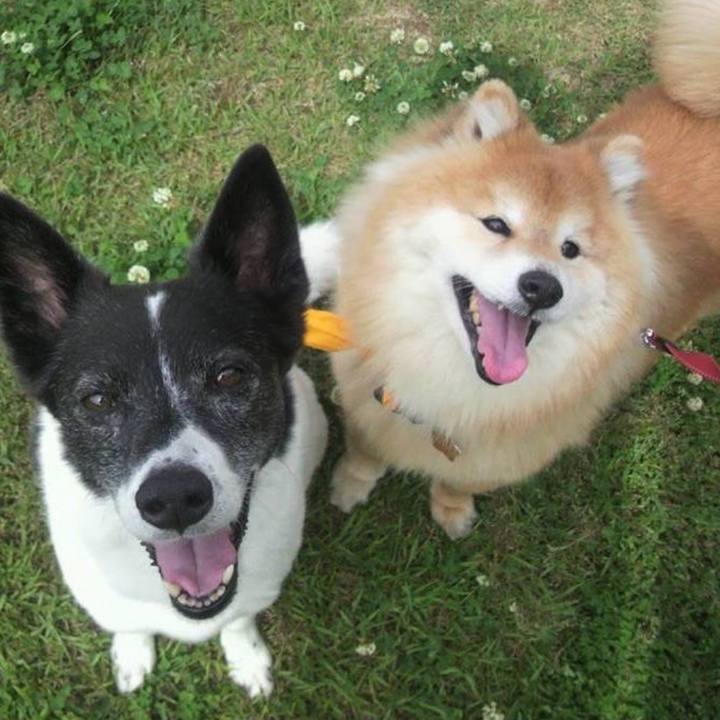 630a7b57 f6e4 401d abc5 65f69086bc66 1558656113082