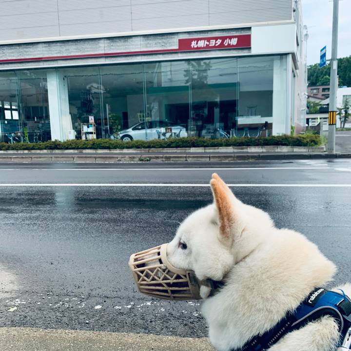 630a8aa2 aacd 40ae a795 edc0486158c5 1629925829385