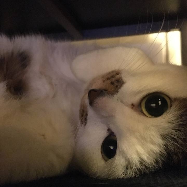 630a92e3 e06b 478a 9c5d b2e2c46c8114 1547292310960