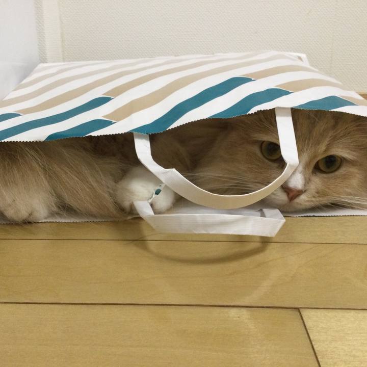 630a9995 fe93 4cbb 8fb2 16f7fb3f2055 1664200089163