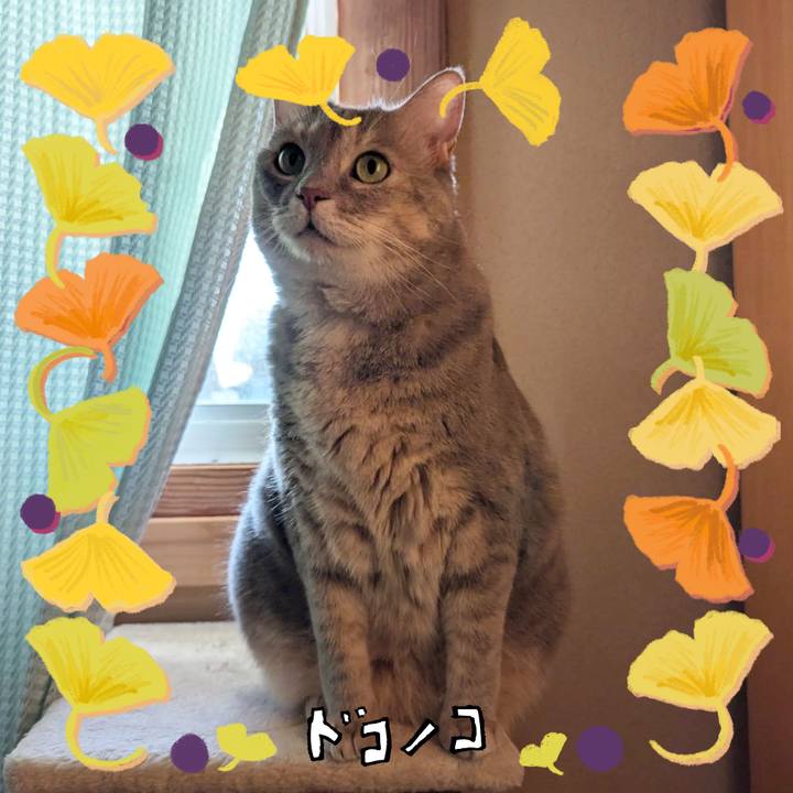 630acc54 2f3a 4a35 8dd0 f4c41c371500 1729151366590