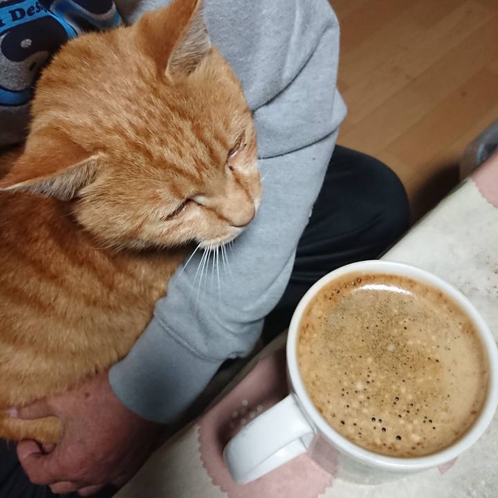 630aeb26 3b40 480b 8cbb d884db829c57 1602876813551