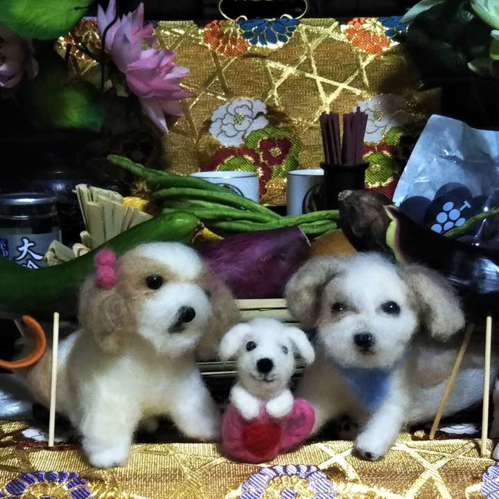 630af21e 9ca7 4d7f b7d9 25013aa6a01a 1565785416718