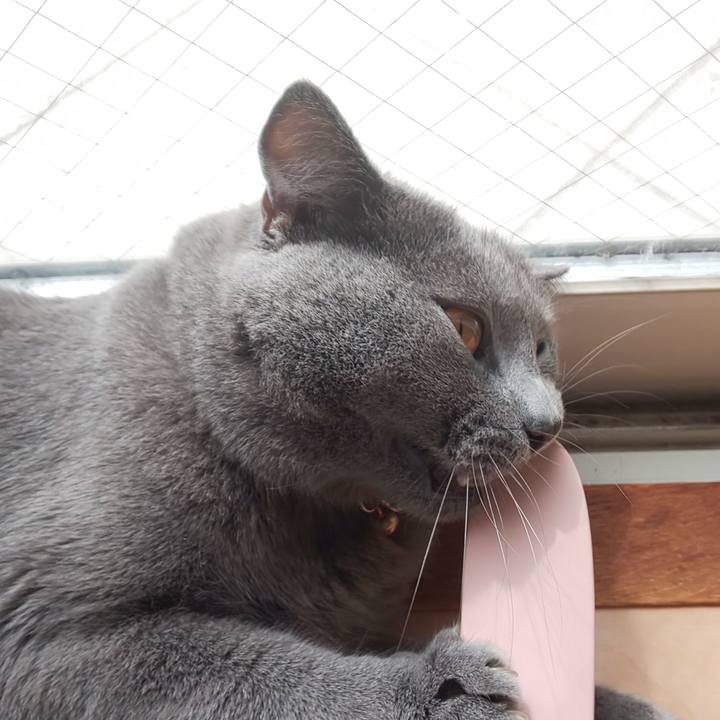 630af6cb 3451 4d89 987c 32c9c83ca937 1536714038143