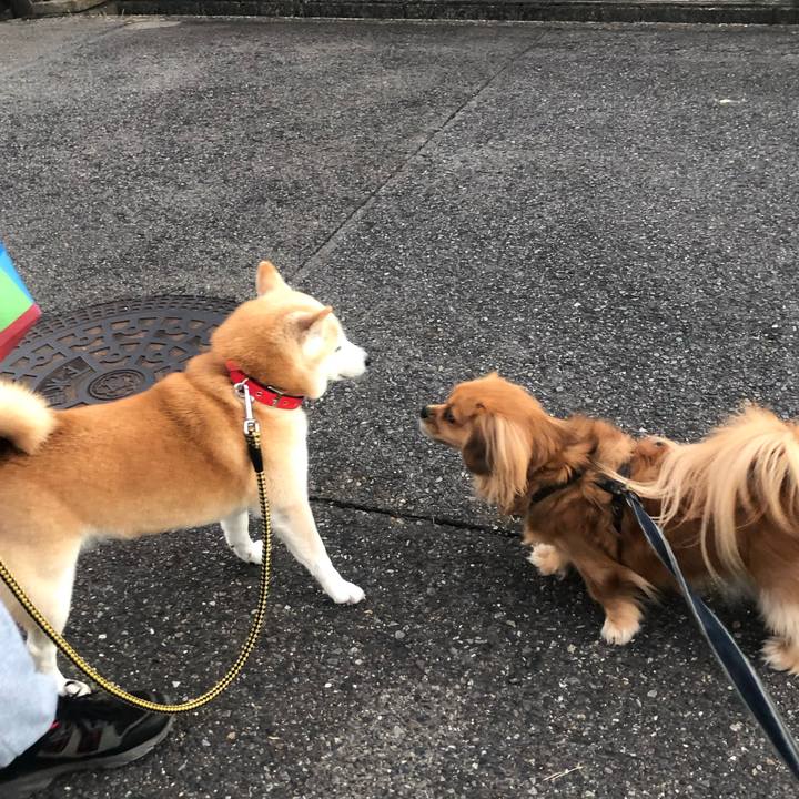 630b0980 136a 4d78 a99a 9de8108ca844 1542231195291