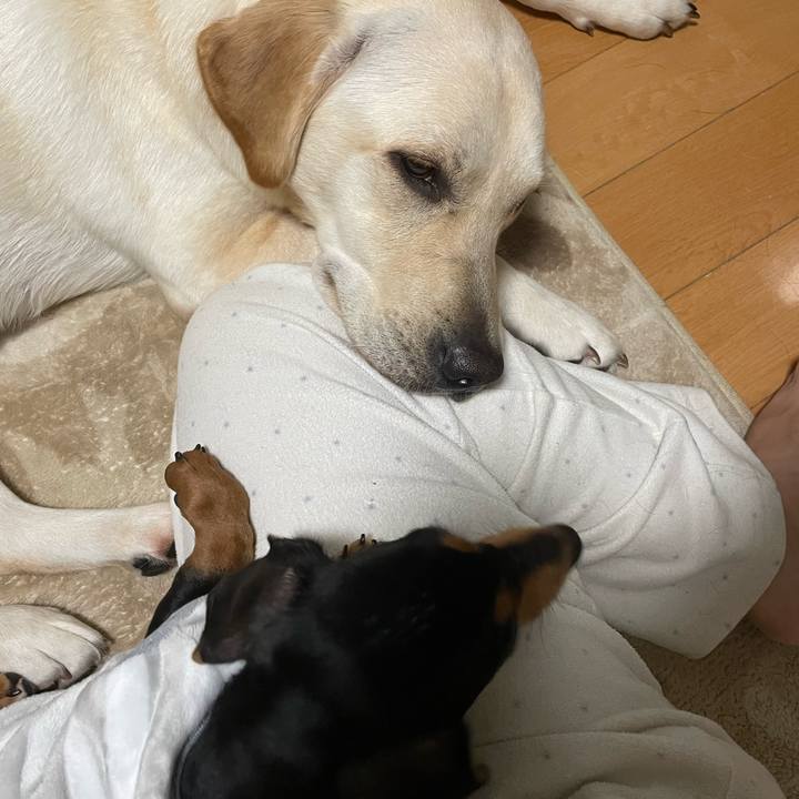 630b4572 e036 41db a284 27993ded3379 1636637564002