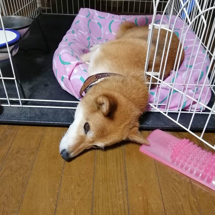 630b5b68 f049 4312 8c2f df803efcfc2c 1595333495090