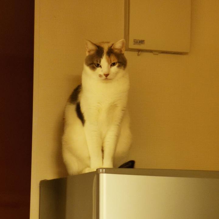 630b7221 fdd9 41ef b787 3badfd76d3c1 1646278854474