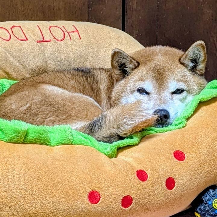 630b9c61 971c 4879 957c 901977b15e71 1771244559093